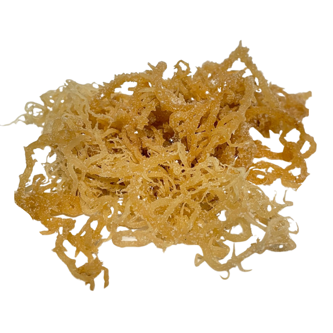 Natural Grown Irish Sea Moss, Quality 100% Wildcrafted, Raw, Pure,  Sundried