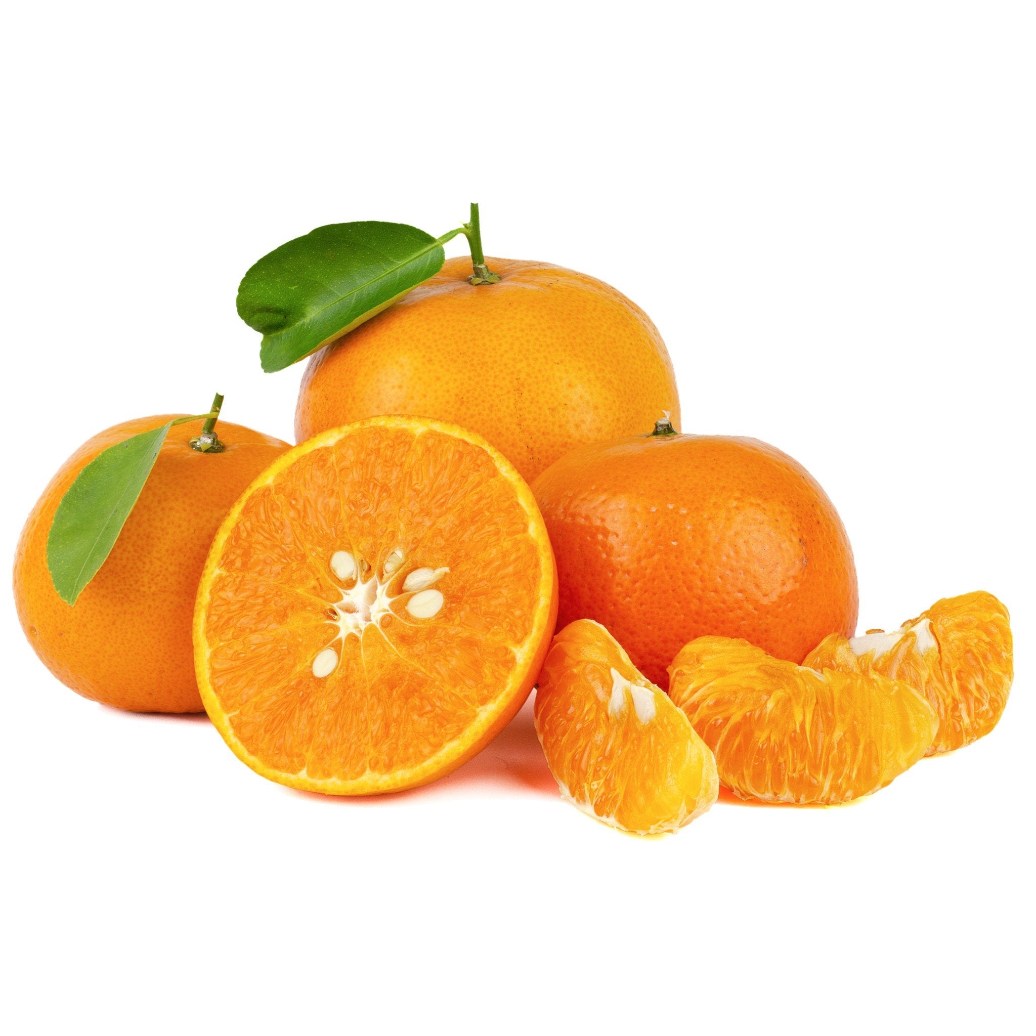 Citrus Essential Oils Set - 1oz 3 Pack Set (100% PURE ESSENTIAL OIL) Sweet  Orange, Lemon, and Tangerine 